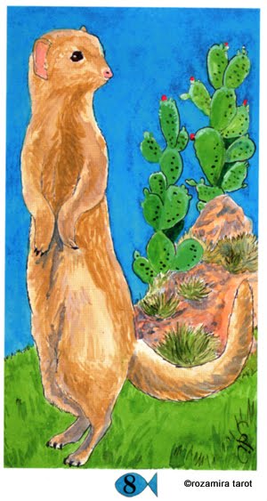 Hawaiian Aloha Tarot